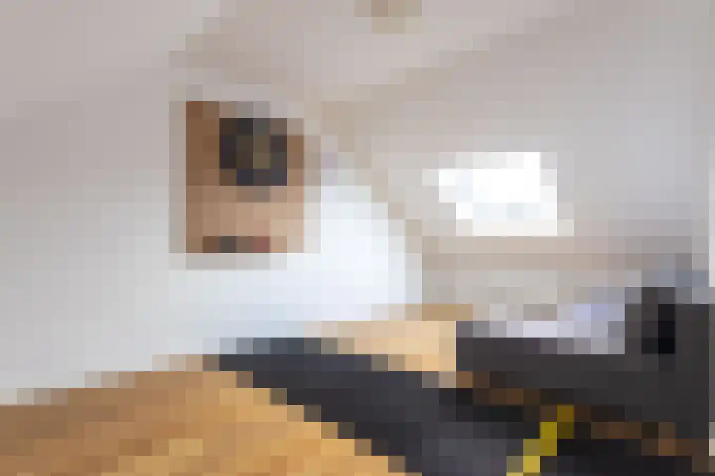 Hoefijzer 15 Zwaag thumbnail 29