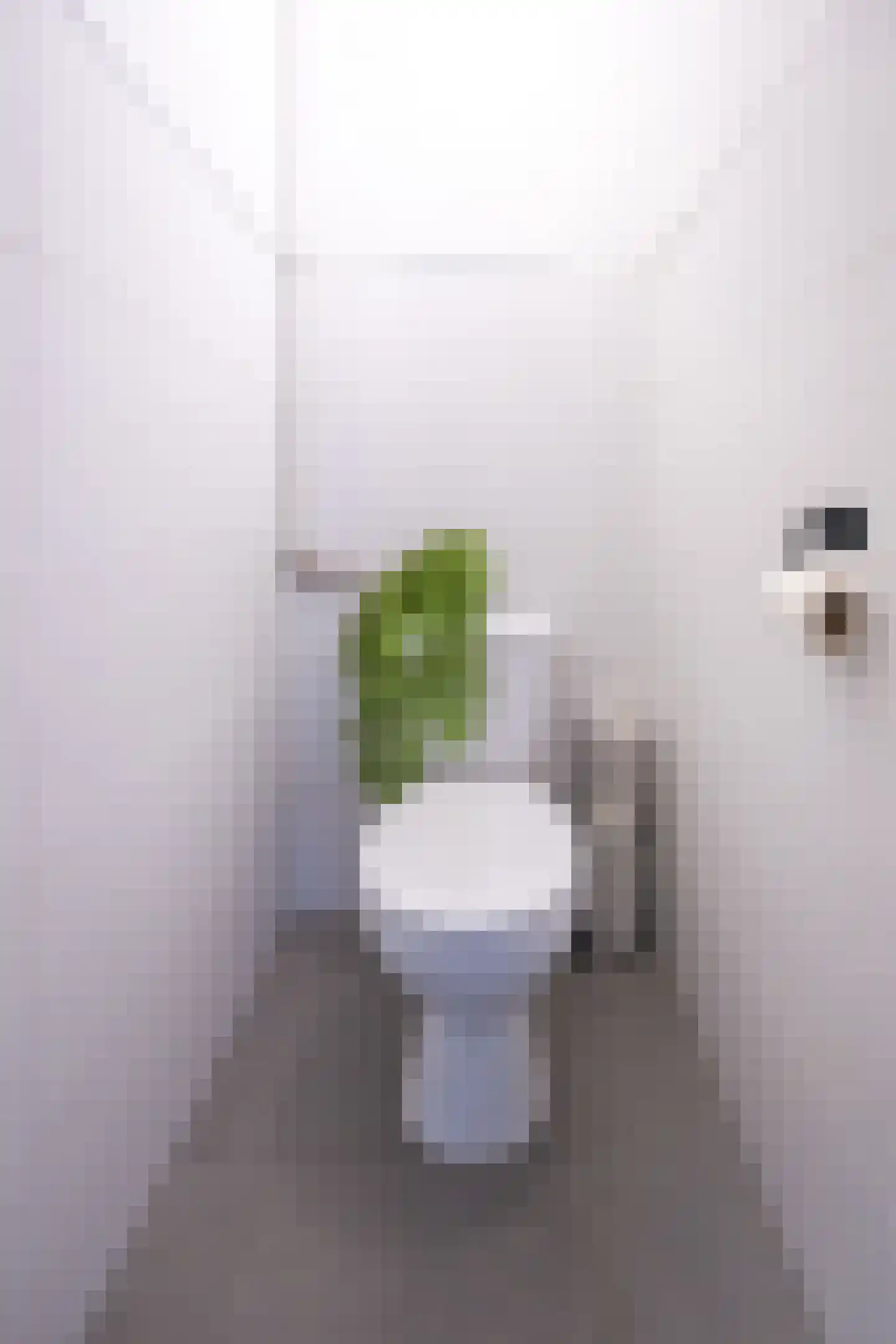 Hoefijzer 15 Zwaag thumbnail 7