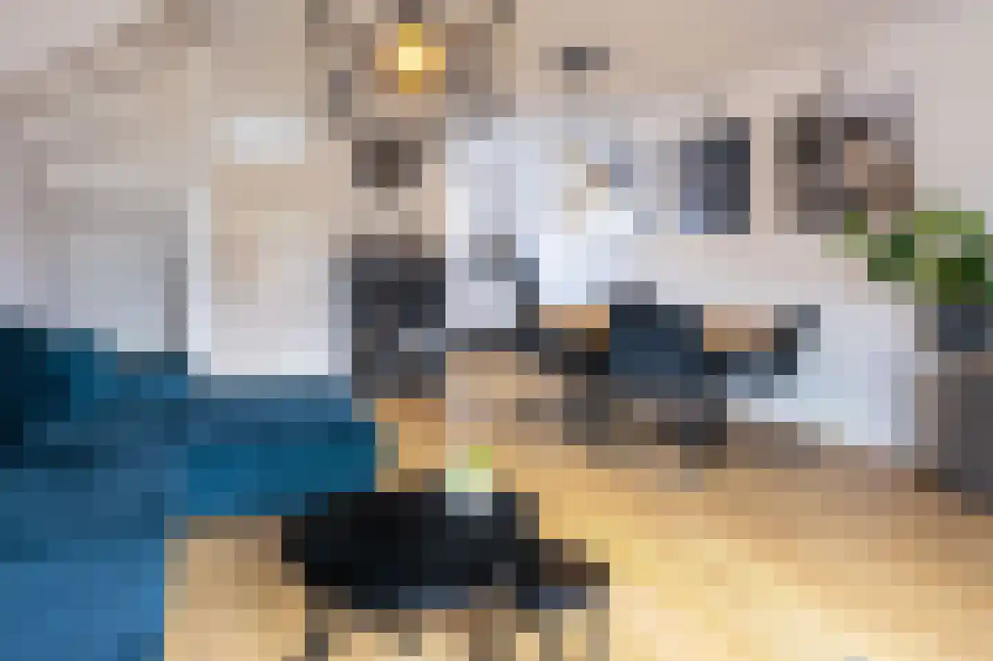 Hoefijzer 15 Zwaag thumbnail 9