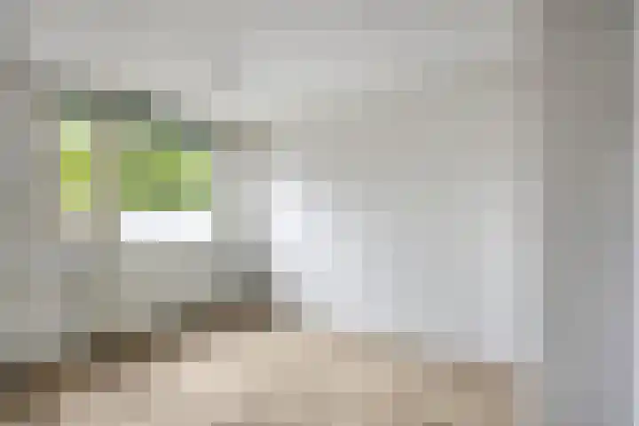 Hoefijzer 17 Zwaag thumbnail 17