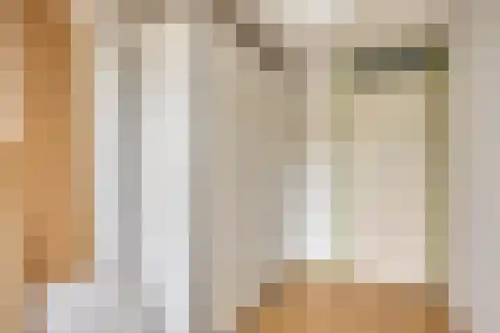 Hoefijzer 17 Zwaag thumbnail 20
