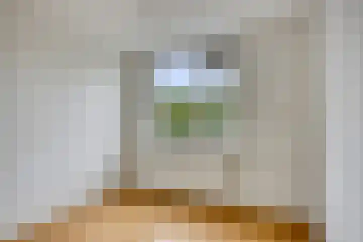 Hoefijzer 17 Zwaag thumbnail 21