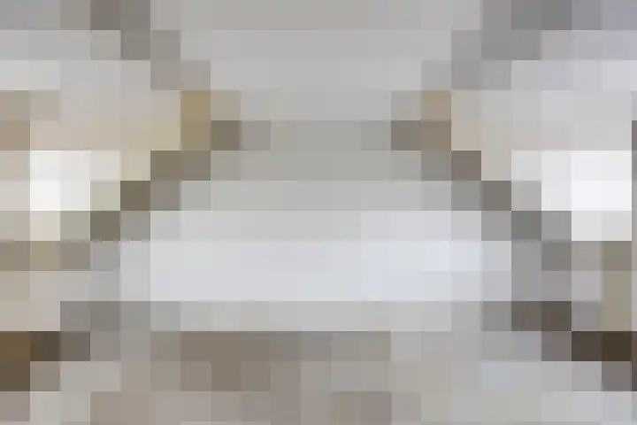 Hoefijzer 17 Zwaag thumbnail 27