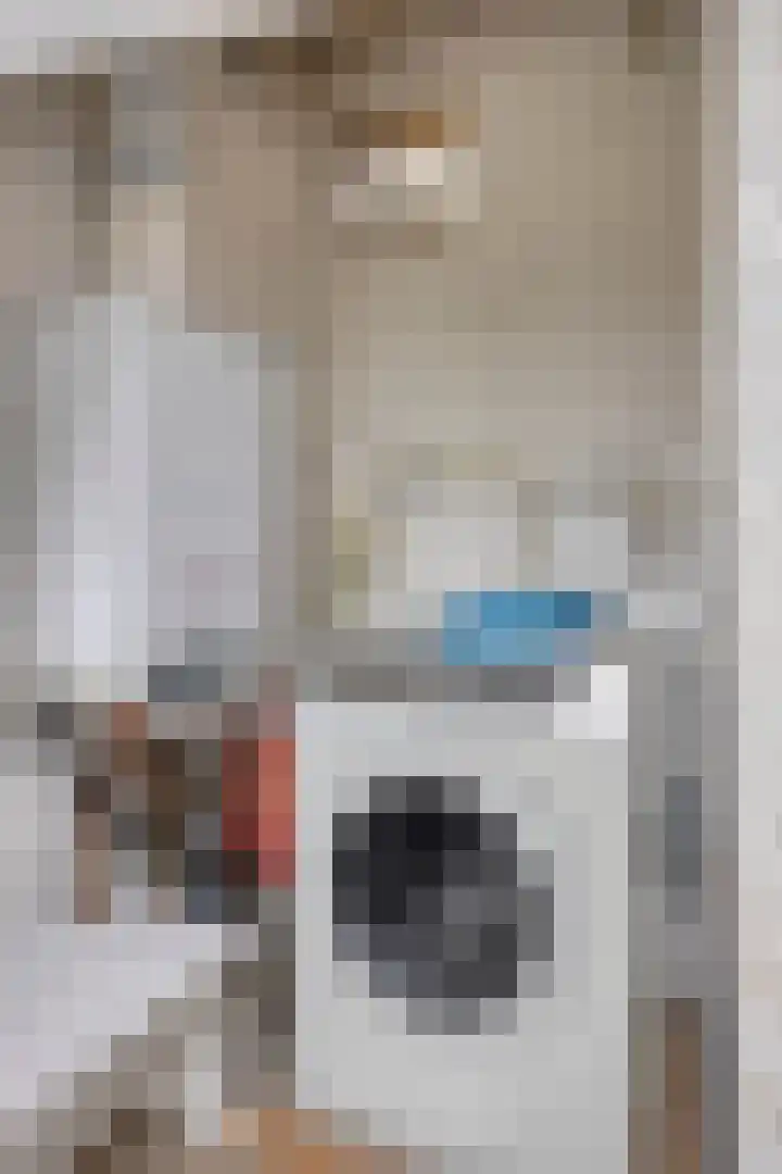 Hoefijzer 17 Zwaag thumbnail 29