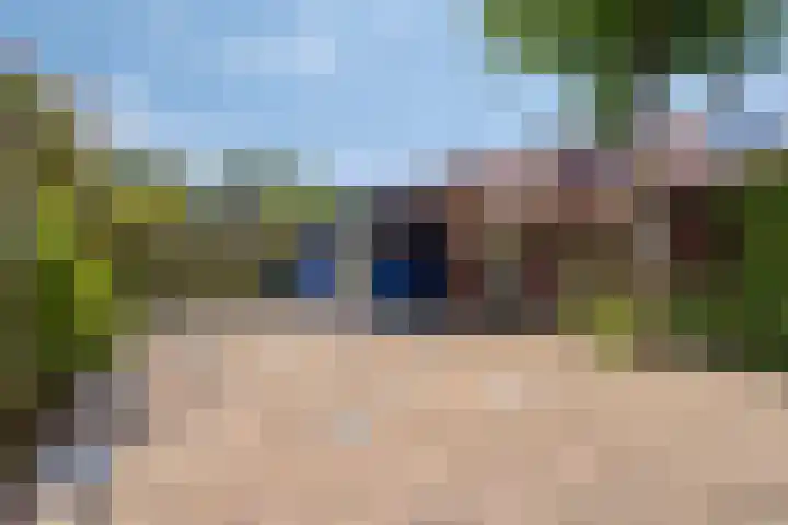 Hoefijzer 17 Zwaag thumbnail 30
