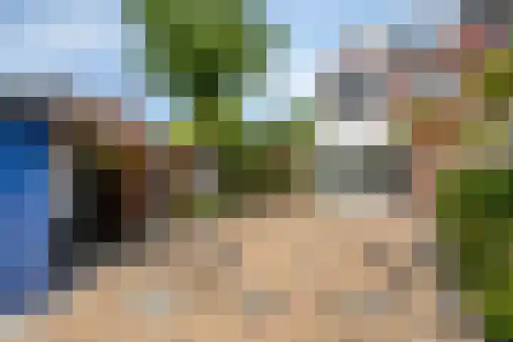 Hoefijzer 17 Zwaag thumbnail 32