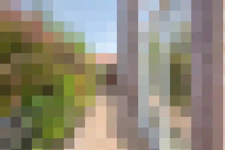 Hoefijzer 17 Zwaag thumbnail 33