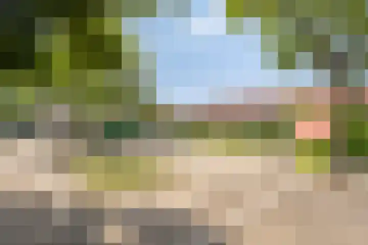 Hoefijzer 17 Zwaag thumbnail 35