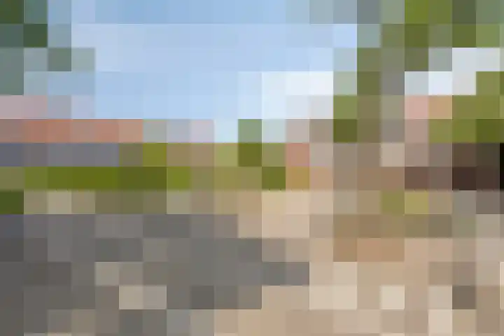 Hoefijzer 17 Zwaag thumbnail 36