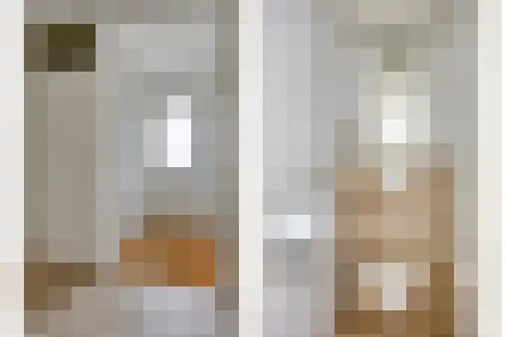 Hoefijzer 17 Zwaag thumbnail 8