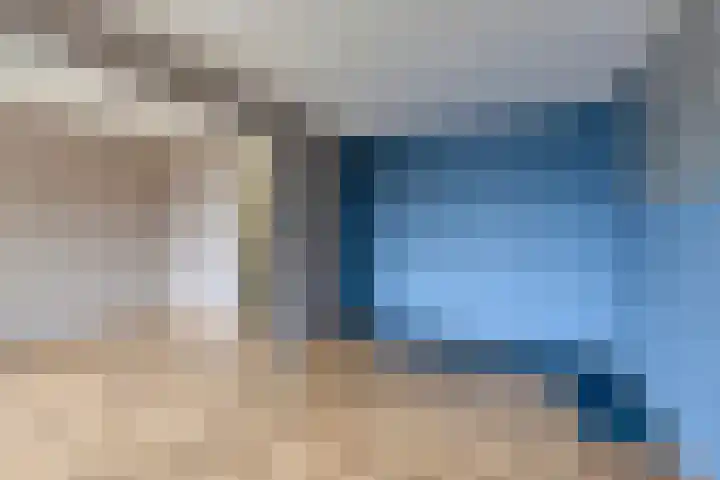 Hoefijzer 18 Zwaag thumbnail 12