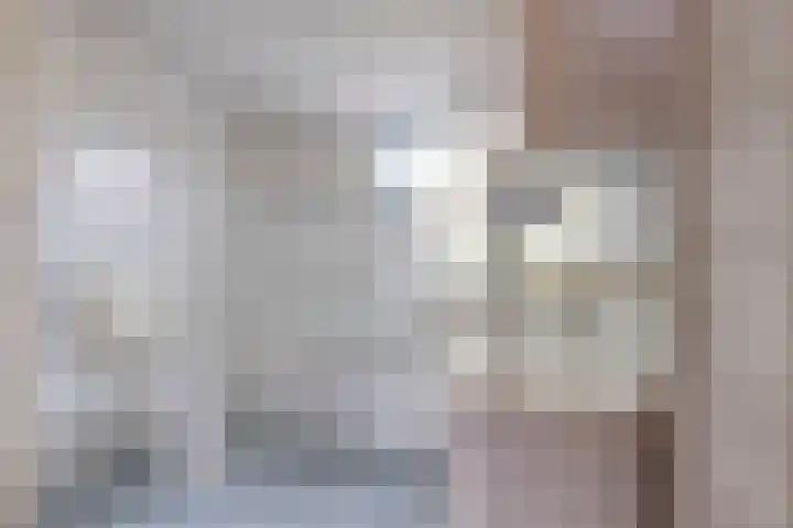 Hoefijzer 18 Zwaag thumbnail 15
