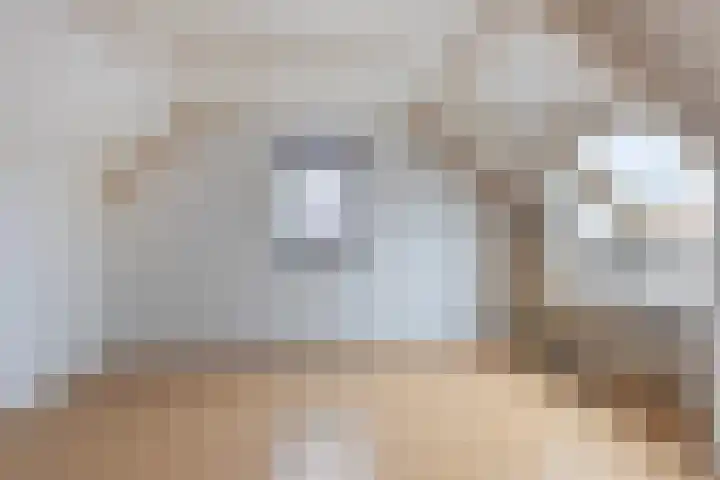 Hoefijzer 18 Zwaag thumbnail 16