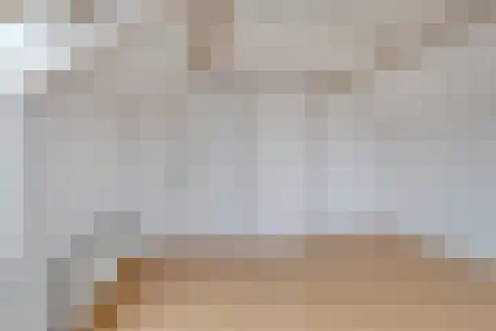 Hoefijzer 18 Zwaag thumbnail 17