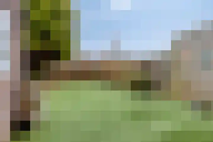Hoefijzer 18 Zwaag thumbnail 18
