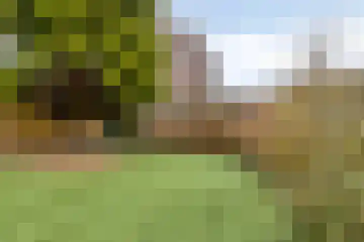 Hoefijzer 18 Zwaag thumbnail 20