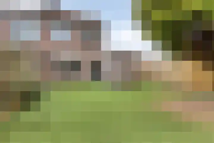 Hoefijzer 18 Zwaag thumbnail 21