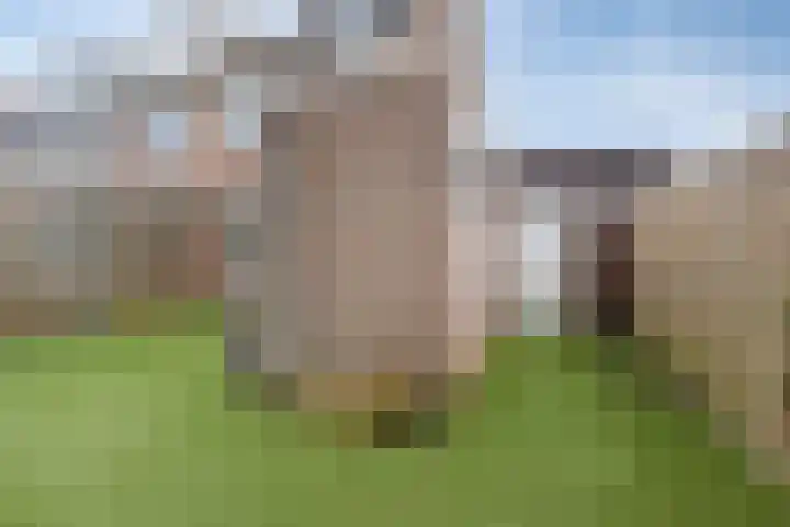 Hoefijzer 18 Zwaag thumbnail 22