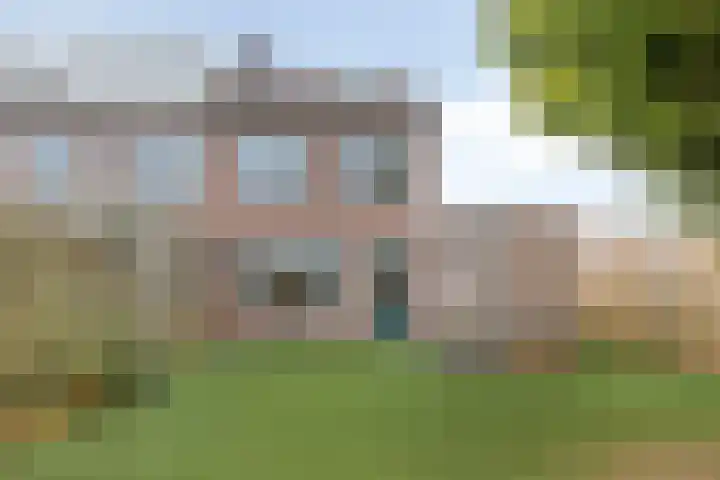 Hoefijzer 18 Zwaag thumbnail 23