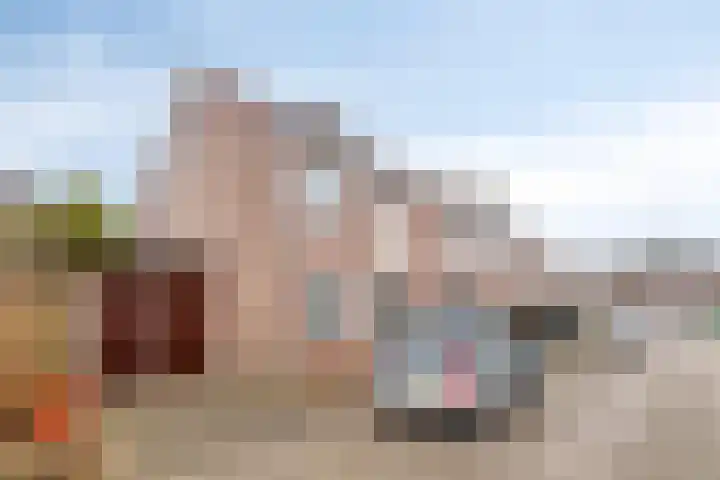 Hoefijzer 18 Zwaag thumbnail 27