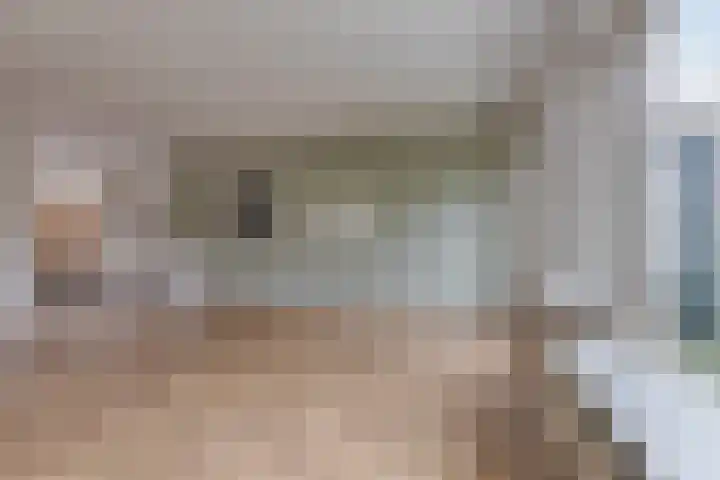 Hoefijzer 18 Zwaag thumbnail 5