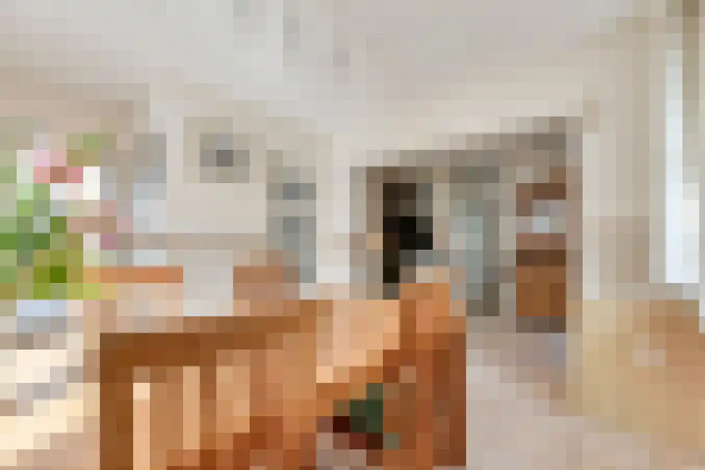 Hoefijzer 2 Didam thumbnail 7