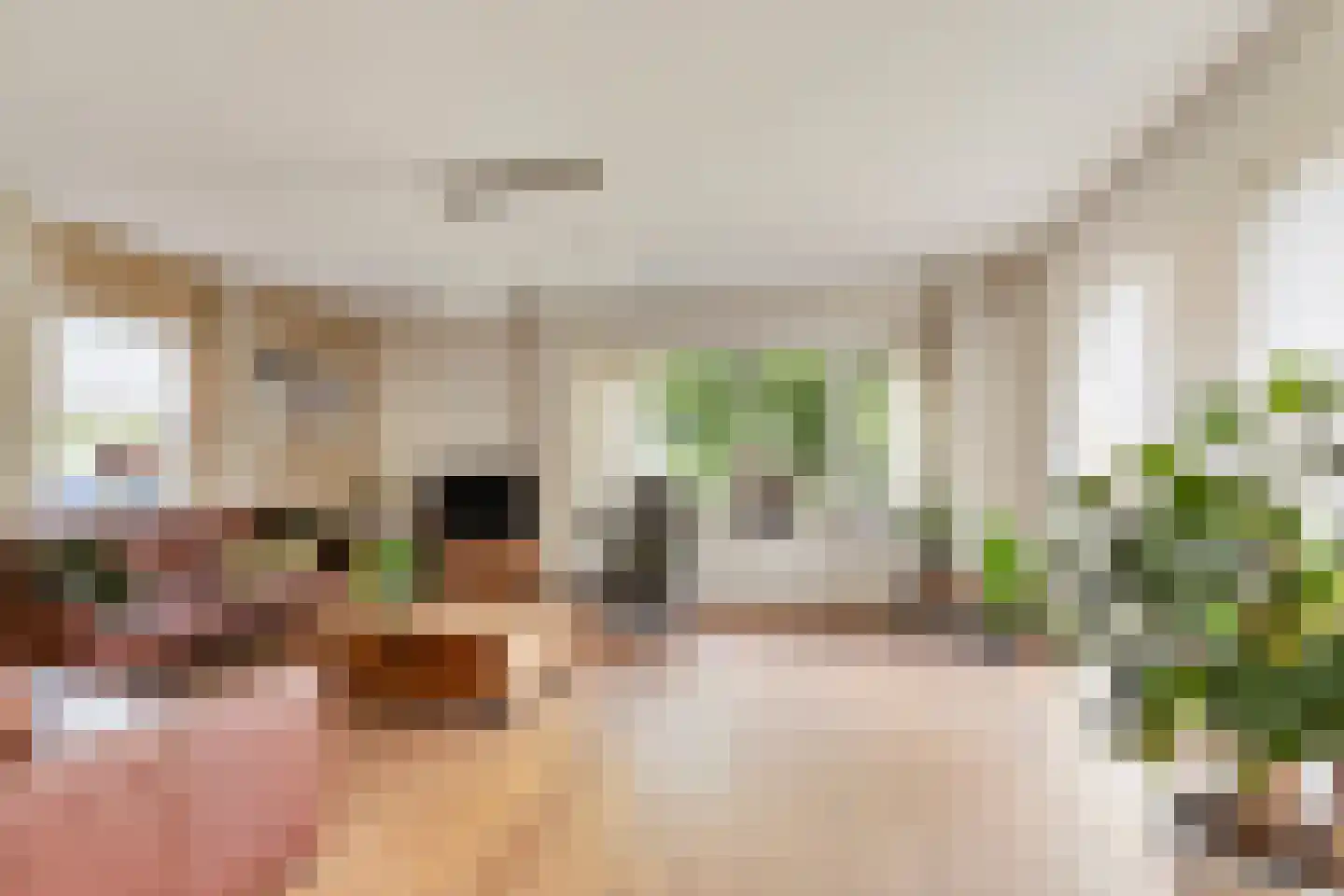 Hoefijzer 2 Didam foto 3
