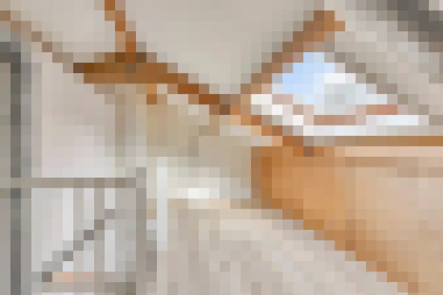 Hoefijzer 2 Didam thumbnail 14