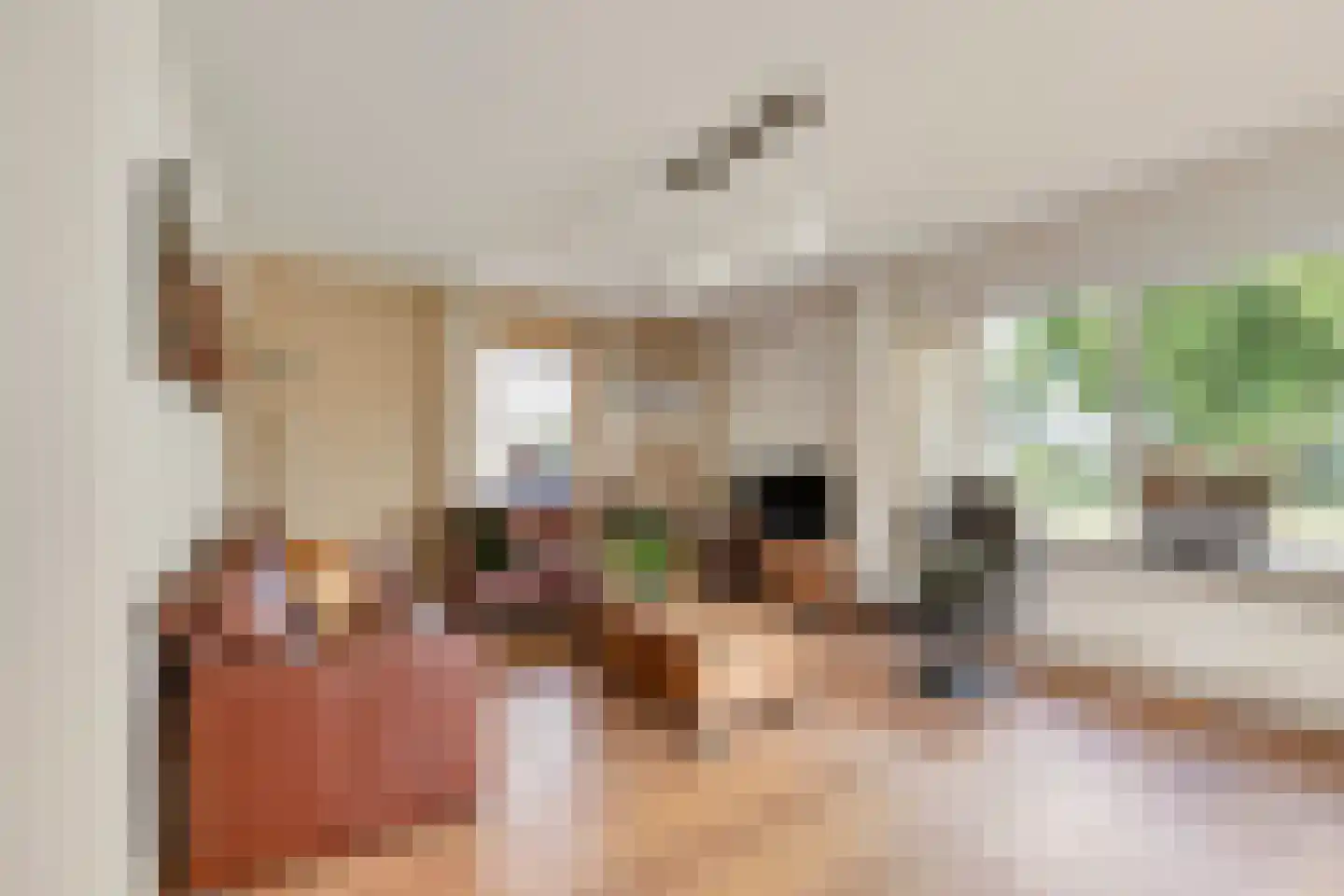 Hoefijzer 2 Didam thumbnail 4