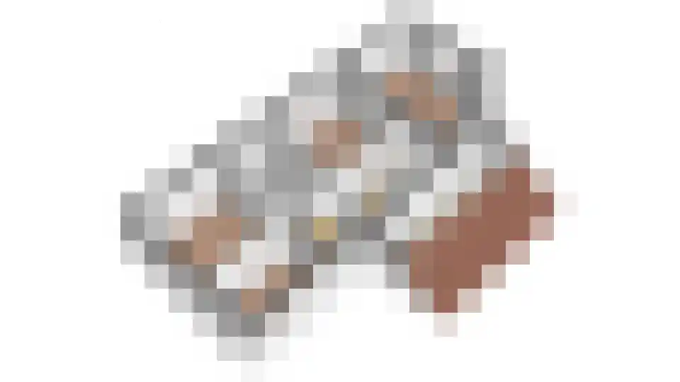 Hoefijzer 2 Didam thumbnail 16