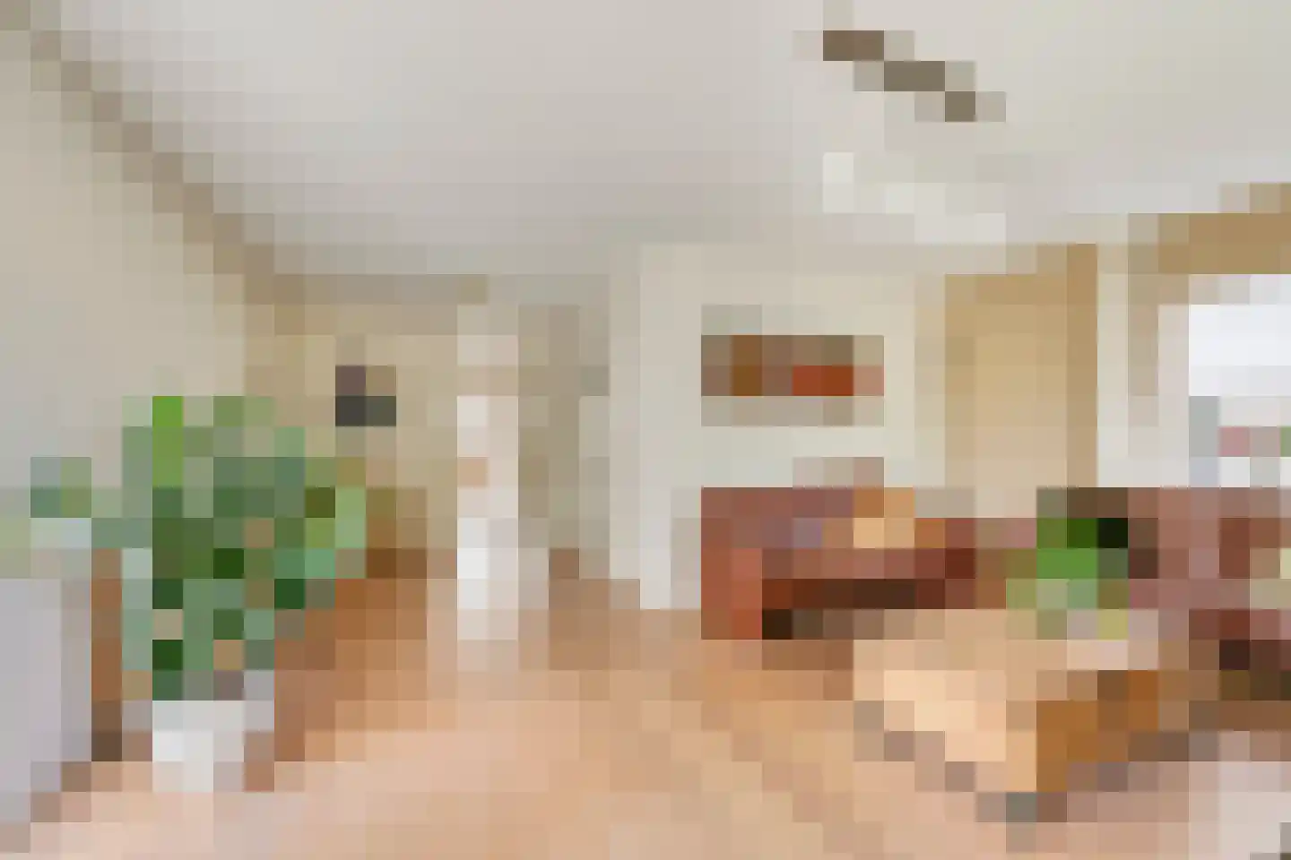 Hoefijzer 2 Didam thumbnail 5