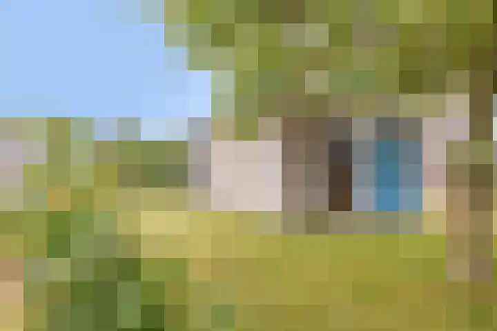 Hoefijzer 24 Noordwelle thumbnail 13