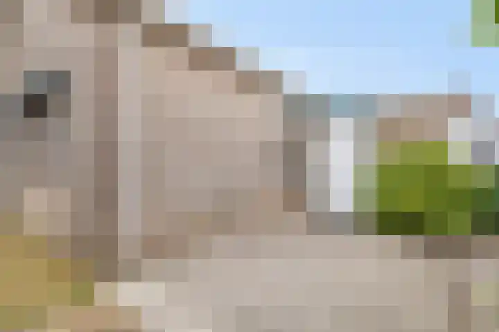 Hoefijzer 24 Noordwelle thumbnail 17