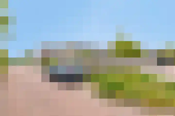Hoefijzer 24 Noordwelle thumbnail 21
