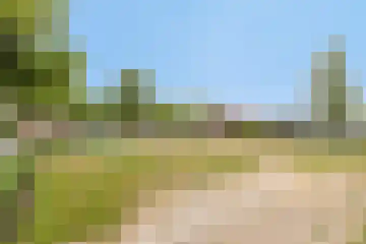 Hoefijzer 24 Noordwelle thumbnail 22