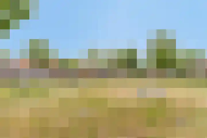 Hoefijzer 24 Noordwelle thumbnail 23