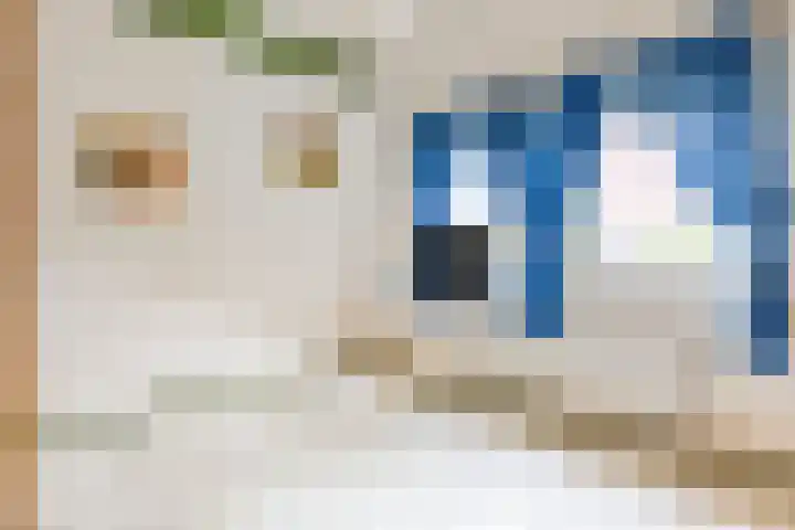 Hoefijzer 24 Noordwelle thumbnail 8