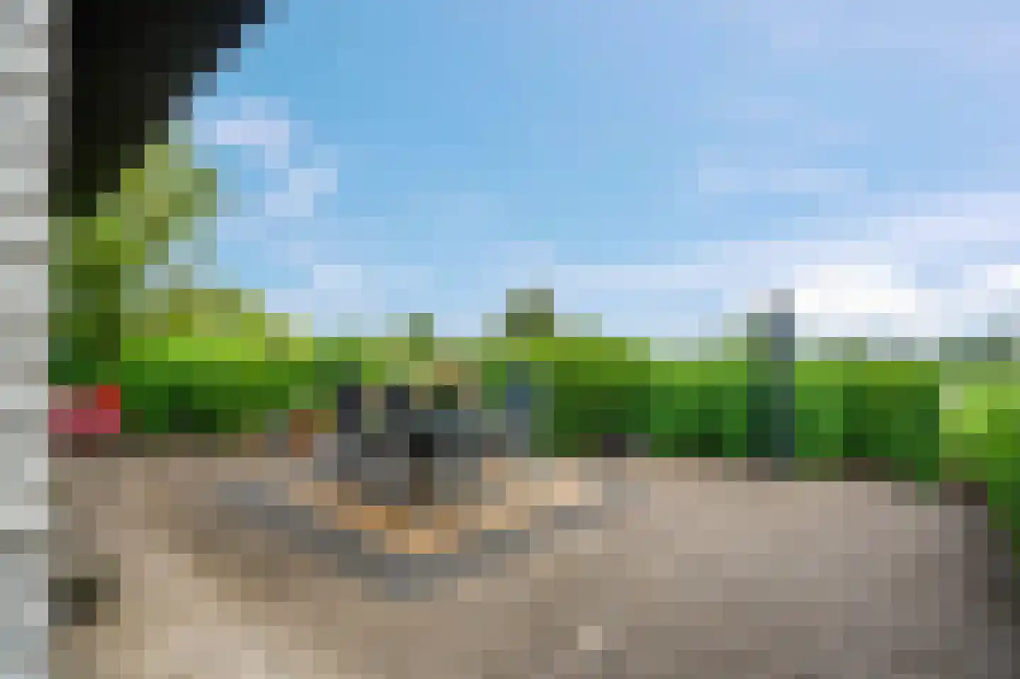 Hoefijzer 5 Hasselt thumbnail 10