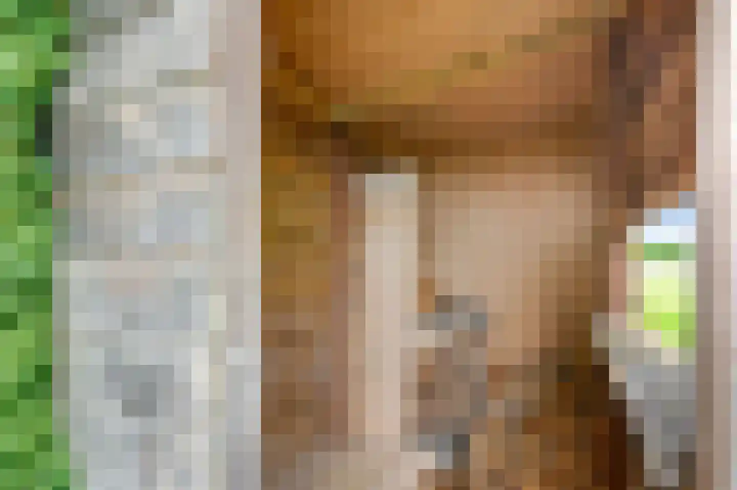 Hoefijzer 5 Hasselt thumbnail 13