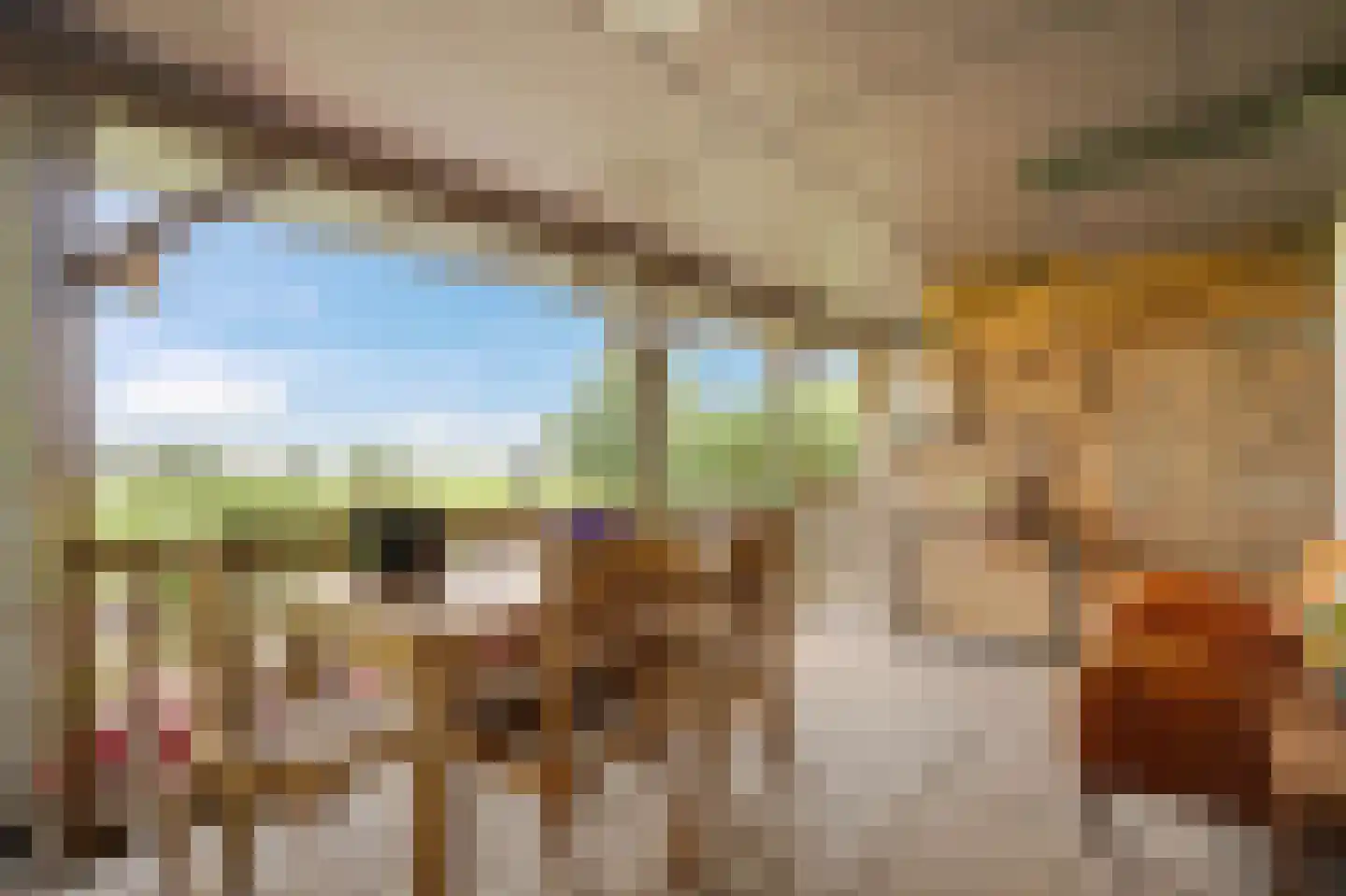 Hoefijzer 5 Hasselt thumbnail 15