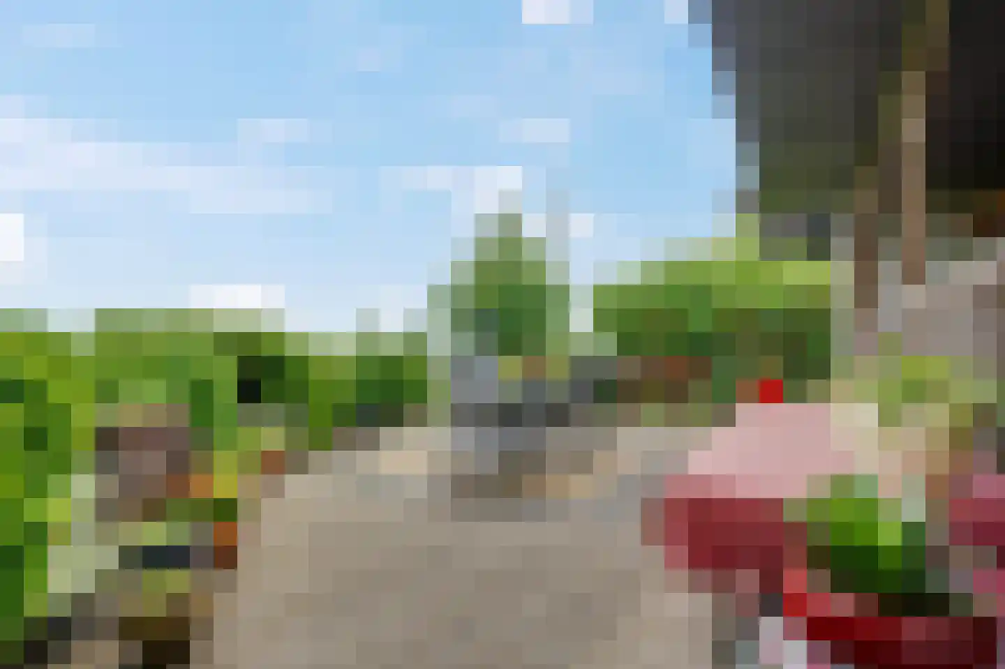 Hoefijzer 5 Hasselt thumbnail 16