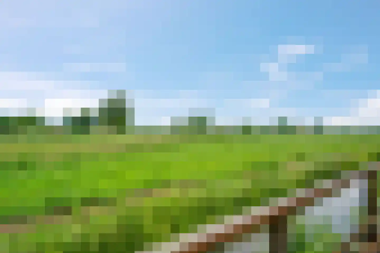Hoefijzer 5 Hasselt thumbnail 19