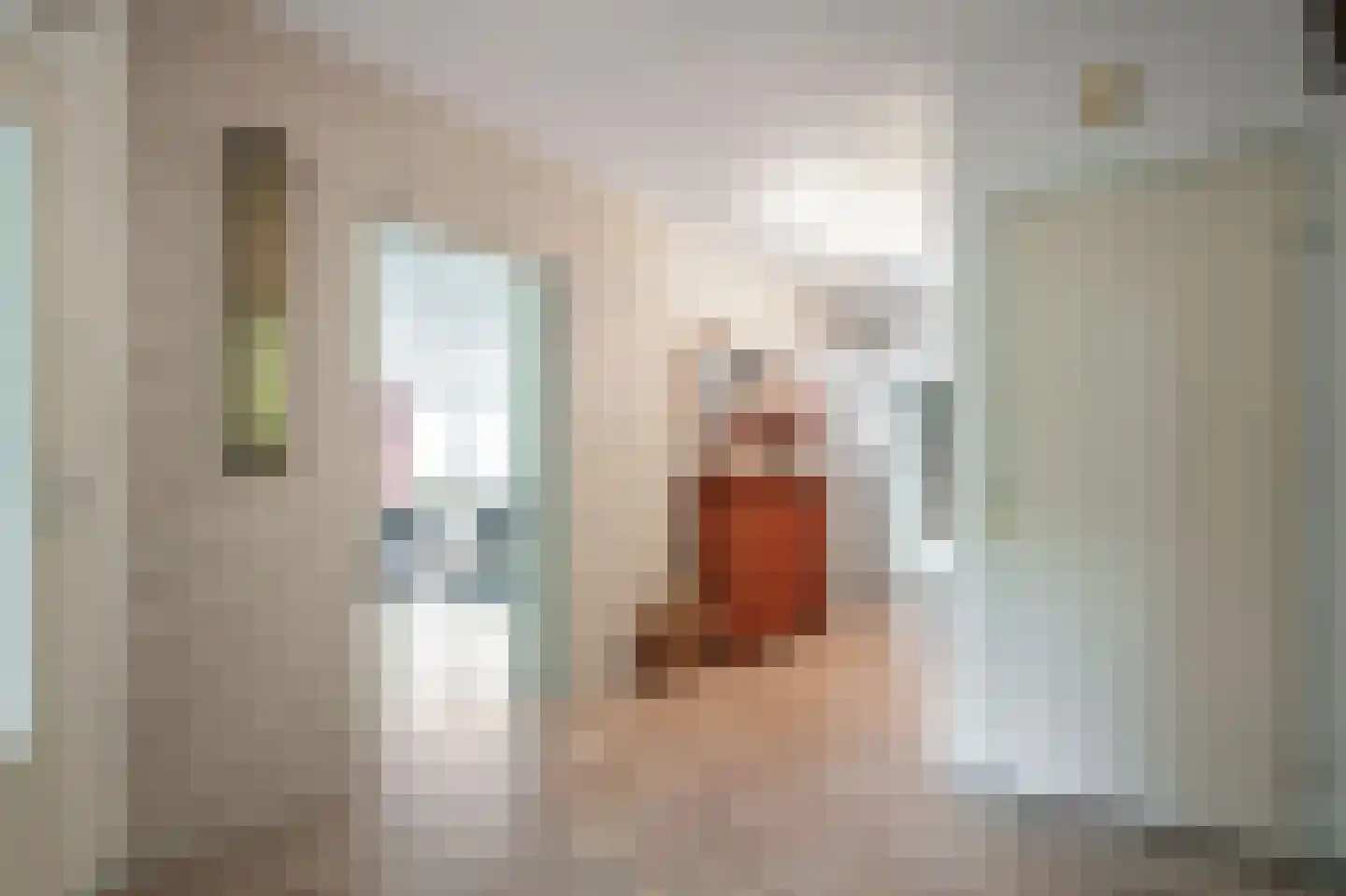 Hoefijzer 5 Hasselt thumbnail 23