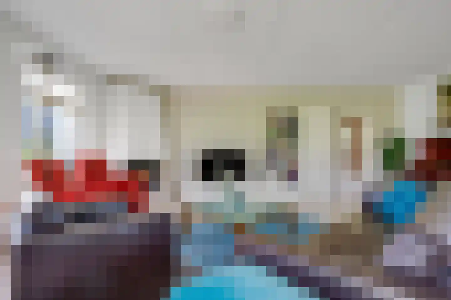 Hoefijzer 5 Hasselt thumbnail 27