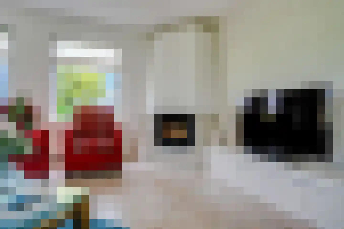Hoefijzer 5 Hasselt thumbnail 28