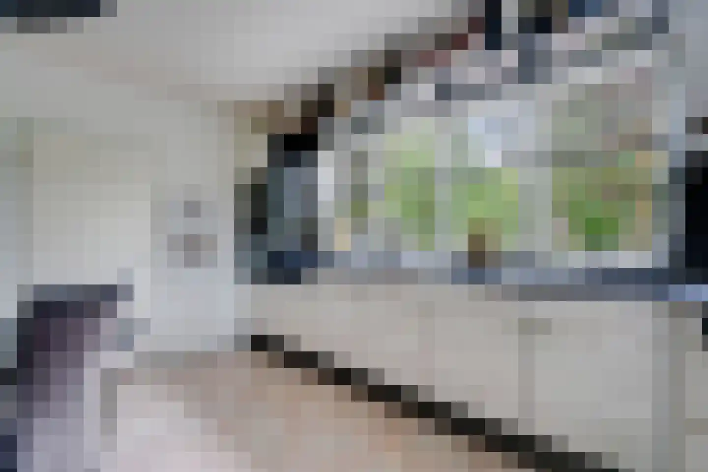 Hoefijzer 5 Hasselt thumbnail 33