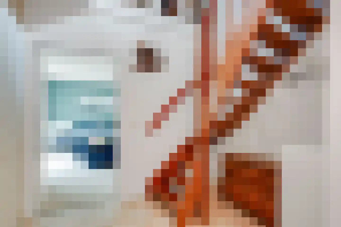 Hoefijzer 5 Hasselt thumbnail 34