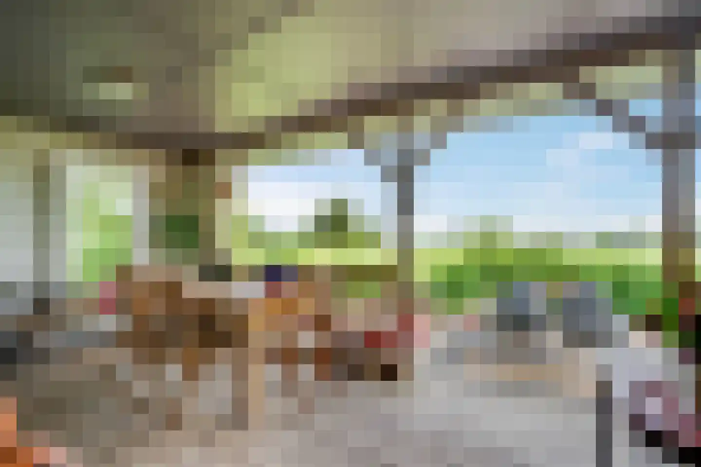 Hoefijzer 5 Hasselt thumbnail 4