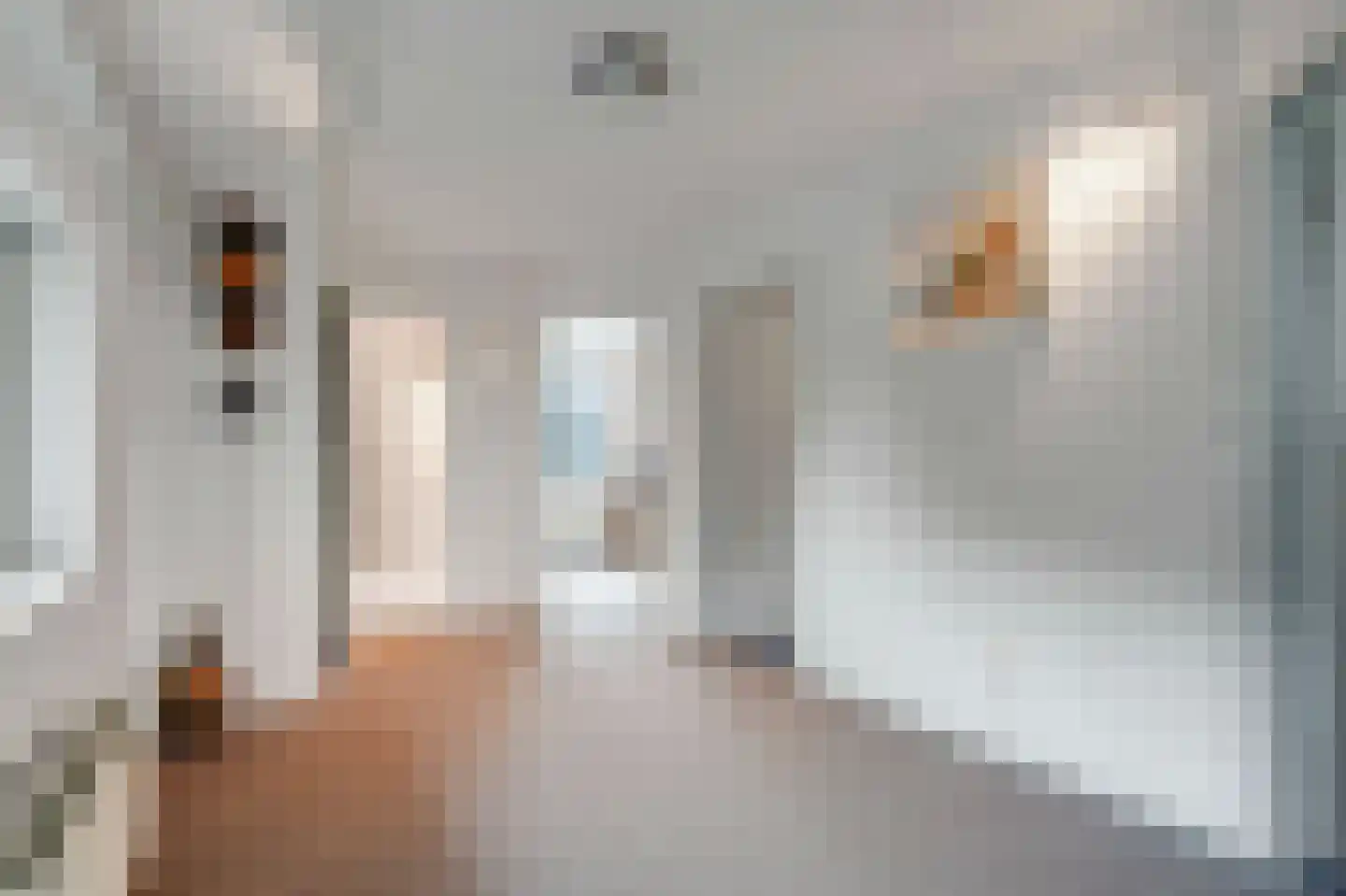 Hoefijzer 5 Hasselt thumbnail 41