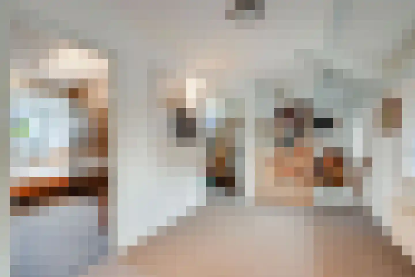 Hoefijzer 5 Hasselt thumbnail 43